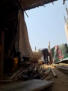 hot integer online show from March 14, 6:08 am