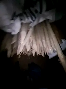 hot integer online show from March 7, 1:49 pm