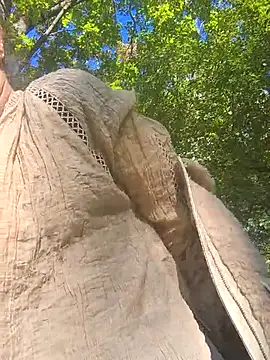 Brilliant-Splashes online show from September 22, 8:53 am