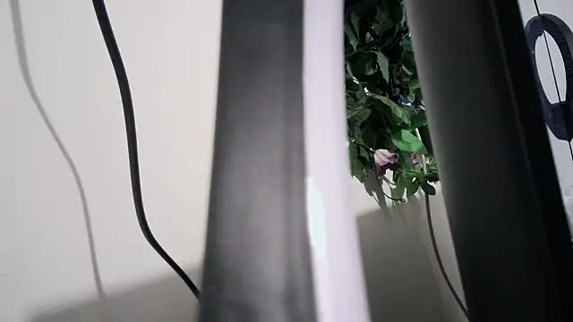 cherryboom23 online show from March 19, 7:25 pm