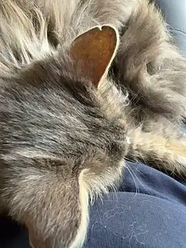 Max 965 online show from March 30, 10:28 am