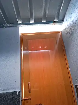 nipu 9 online show from March 16, 10:30 am