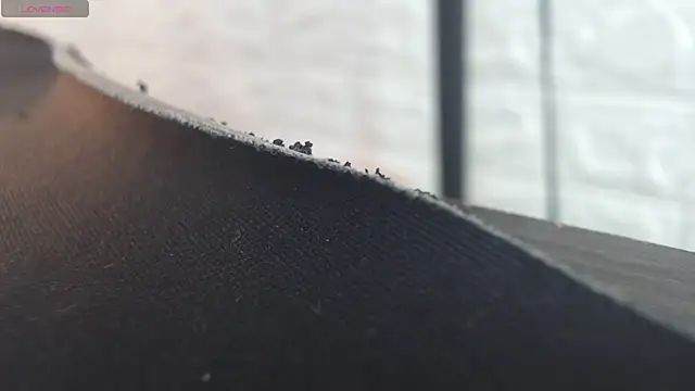 nei girl online show from November 30, 11:55 am