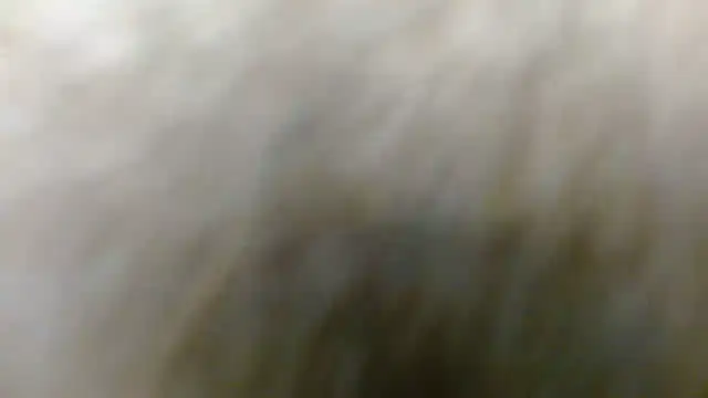 Allyson Mature online show from January 5, 5:27 pm