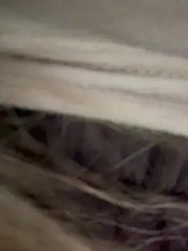 bambi lu online show from March 18, 6:20 pm