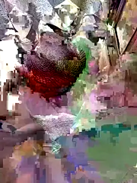 A-1PLAYBOY0 online show from April 9, 4:47 am