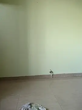 Desi Bhabi 01 online show from November 17, 9:35 am