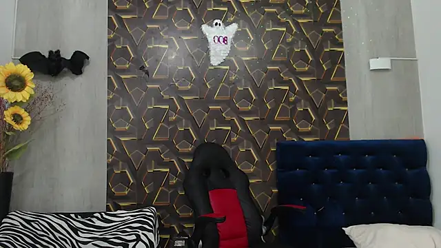 black king 241 online show from November 12, 3:21 am