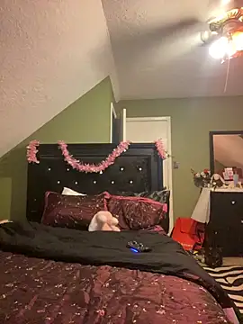 bankruptbabe online show from March 25, 3:50 am