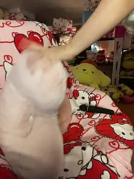 w3tkittty online show from March 22, 2:37 am