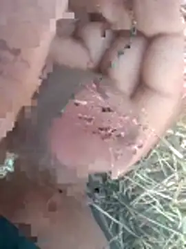 Snapshot of perplexedsoul chatting on December 1, 9:21 am perplexedsoul online show from December 1, 9:21 am