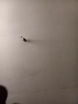 Thenaughtyboy360 online show from October 7, 1:34 pm