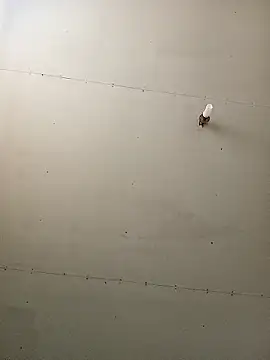 Thenaughtyboy360 online show from January 11, 3:52 pm