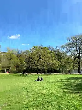 NoLimit365 online show from April 23, 11:38 am