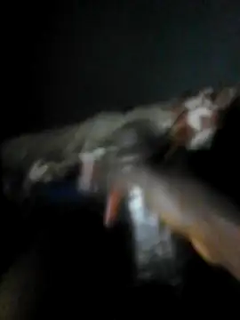 mydickbedarkandthick online show from November 23, 11:15 pm