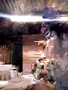 Snapshot of paptsimo chatting on November 5, 2:14 am paptsimo online show from November 5, 2:14 am