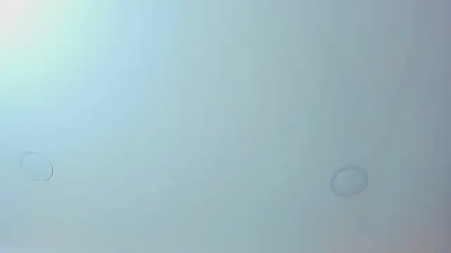 Antonella west online show from March 12, 9:08 pm