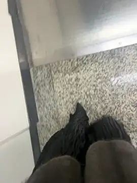 xiaoyuan01 online show from February 6, 2:07 am