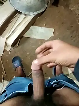 zim200 online show from November 11, 3:56 am