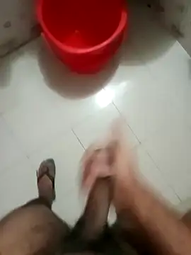 zim200 online show from November 23, 11:59 pm