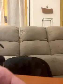 Snapshot of BestSexForYou chatting on January 16, 2:15 am BestSexForYou online show from January 16, 2:15 am