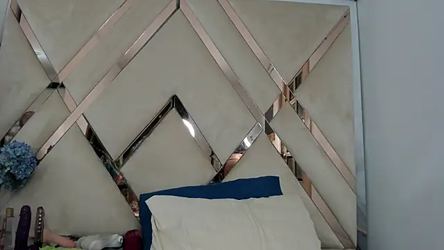 Snapshot of arixht chatting on February 17, 9:01 pm arixht online show from February 17, 9:01 pm