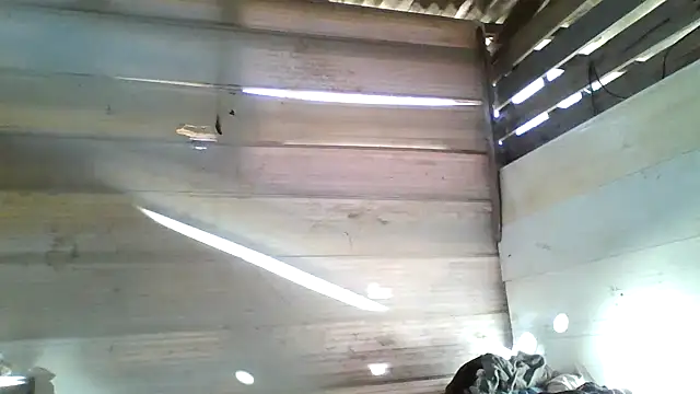 srtsara online show from April 15, 10:54 am