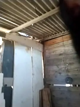 srtsara online show from April 18, 11:56 am