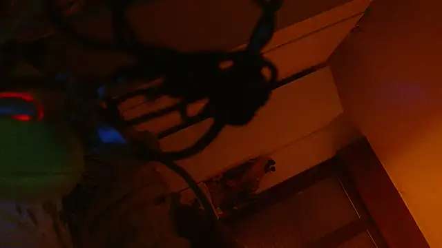 refem9 online show from February 10, 2:43 am