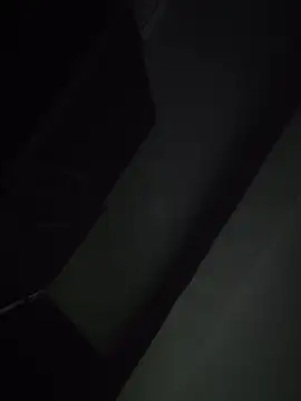 jacobs shelby online show from November 16, 12:54 pm