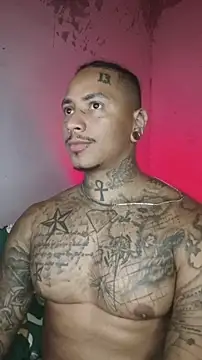 Snapshot of David_tatto1 chatting on February 17, 2:53 am David tatto1 online show from February 17, 2:53 am