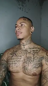 Snapshot of David_tatto1 chatting on March 3, 3:35 am David tatto1 online show from March 3, 3:35 am