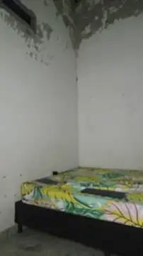 David tatto1 online show from April 2, 3:13 am