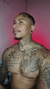 Snapshot of David_tatto1 chatting on February 2, 5:06 am David tatto1 online show from February 2, 5:06 am