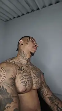 David tatto1 online show from June 3, 3:18 am