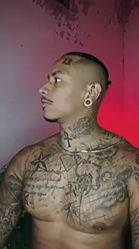 Snapshot of David_tatto1 chatting on February 13, 3:17 am David tatto1 online show from February 13, 3:17 am