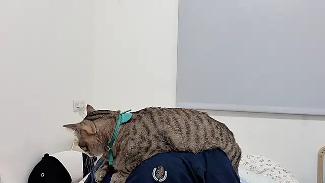 LHeart online show from April 5, 2:24 pm