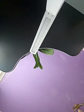 Soft Pleasure online show from October 30, 8:34 am