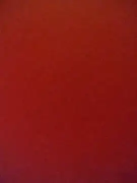 Snapshot of Fox_Roxxan chatting on October 12, 1:51 am Fox Roxxan online show from October 12, 1:51 am