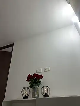 Snapshot of Nova_Gabriela chatting on April 28, 12:31 pm Nova Gabriela online show from April 28, 12:31 pm