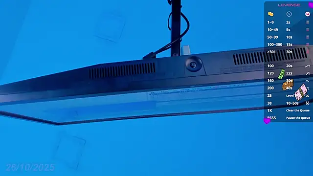 Snapshot of Sebax_Young chatting on October 26, 9:26 pm Sebax Young online show from October 26, 9:26 pm