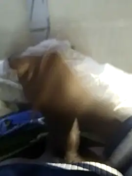 92donis online show from November 20, 7:25 pm