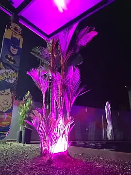 Yessica Lopezz online show from February 24, 10:16 am