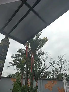 Yessica Lopezz online show from March 5, 11:29 am