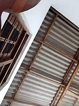 Snapshot of boosypussy chatting on November 13, 11:08 pm boosypussy online show from November 13, 11:08 pm