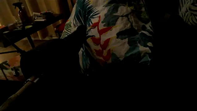 drieghe online show from October 4, 10:33 pm