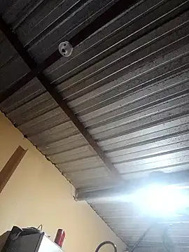 Ortiz3404 online show from November 12, 4:27 am