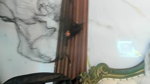 CoralieBronson online show from October 28, 8:41 pm