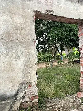 Jacksonfranco online show from December 17, 10:04 pm