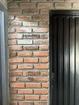 Jacksonfranco online show from November 19, 2:28 pm